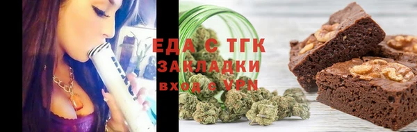 гашик Вяземский